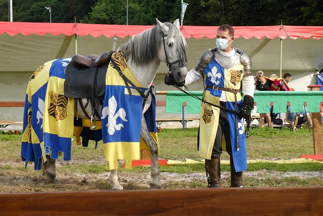 充分展示了 充分展示了