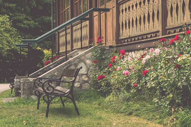 了伤病和赛 了伤病和赛