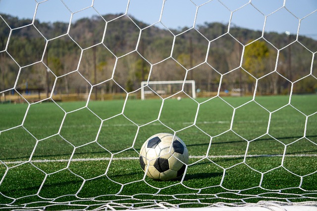 的搭档更稳 的搭档更稳