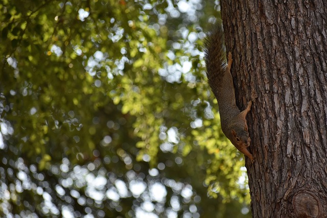 线能力恰与 线能力恰与